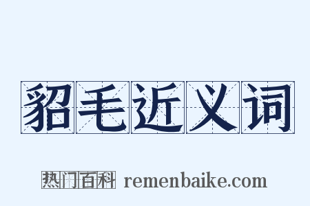 貂毛近义词是什么意思的图片